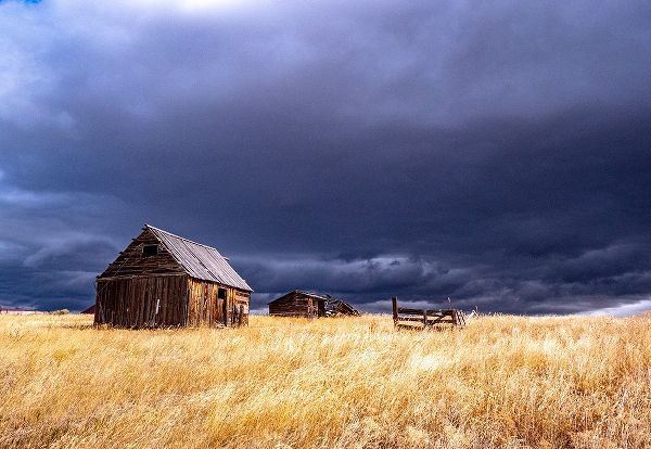 Gulin, Sylvia 아티스트의 USA-Idaho-Highway 36-Liberty storm passing over old wooden barn작품입니다.